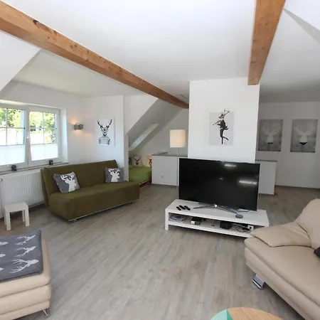 Haus Harzhirsch 펜션 *