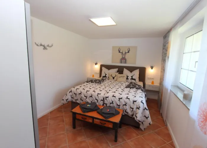 Haus Harzhirsch * 弗雷德里希斯布鲁恩